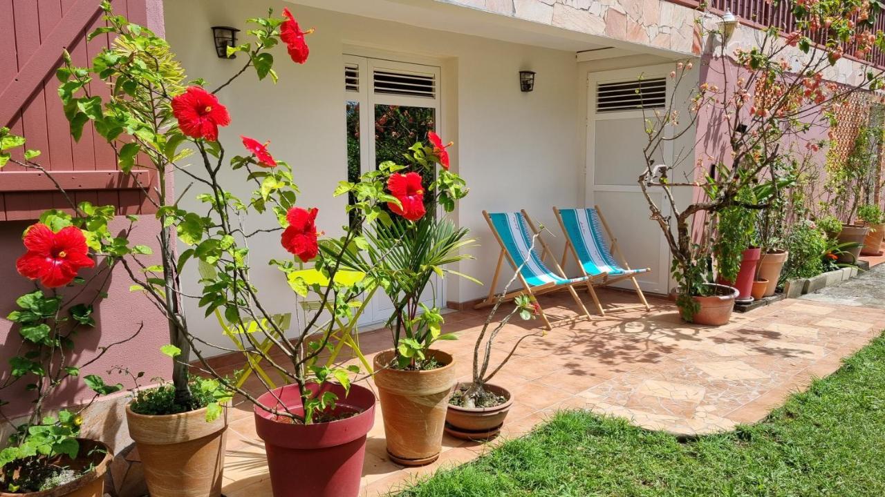 La Visite Tropicale Apartamento Rivière-Pilote Exterior foto